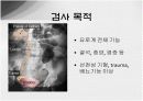 [방사선] 투시조영에서의 경정맥 요로 조영 검사 (IVP) 3페이지