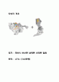 화성시 USKR 설계안 3페이지