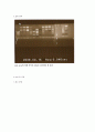 [생물학실험] Plasmid DNA분리 (miniprep) 실험 13페이지