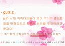 중학교 국사 - 가야 3페이지