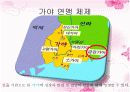 중학교 국사 - 가야 8페이지
