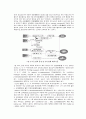[농산가공학]쌀의 도정도(搗精度)․신선도(新鮮度) 판별(判別) 및 찹쌀․멥쌀 판별(判別) 10페이지