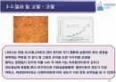 SM45C860℃담금질 후 200℃뜨임 37페이지