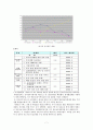 우리나라와 미국의 전자정부 비교. 8페이지