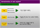 빈폴의 성공요인과 마케팅 전략 30페이지