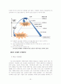 파괴적 혁신을 통한 제약기업의 전략적 중국시장 진출방안 27페이지