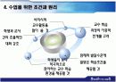 비고츠키의 인지발달이론과 교육에의 적용 14페이지