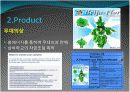  2008년 브라질 리오 카니발 성공요인 분석 26페이지