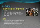  2008년 브라질 리오 카니발 성공요인 분석 34페이지