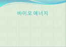 바이오 에너지 1페이지