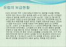 바이오 에너지 29페이지