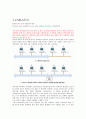 CSMA/CD, IPv4와IPv6, WCDMA, 네티켓 조사 2페이지
