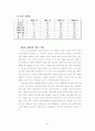 하이마트 마케팅 분석 21페이지