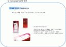 컨버전스(Convergence)에 대한 조사 11페이지