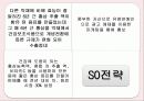 정관장 분석 13페이지