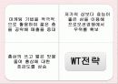 정관장 분석 16페이지