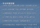 여행업에 관한 정의,현황,전망 등에 관한 레포트 17페이지