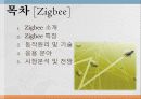 [PPT] 『블루투스 직비(Bluetooth & Zigbee)』에 대한 발표자료 12페이지
