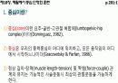 중심안정화운동 3페이지