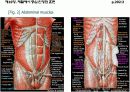 중심안정화운동 13페이지