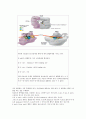 Ribosomes Build a Cell's Proteins 5페이지