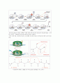 Ribosomes Build a Cell's Proteins 7페이지