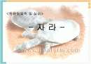 자라에 대하여(자라 양식) 1페이지