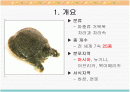 자라에 대하여(자라 양식) 2페이지