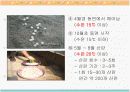 자라에 대하여(자라 양식) 6페이지