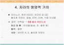 자라에 대하여(자라 양식) 7페이지