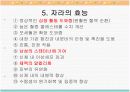 자라에 대하여(자라 양식) 8페이지