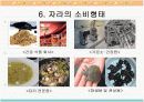 자라에 대하여(자라 양식) 9페이지