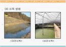 자라에 대하여(자라 양식) 13페이지
