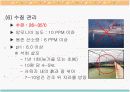 자라에 대하여(자라 양식) 16페이지