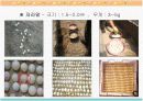 자라에 대하여(자라 양식) 19페이지