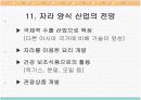 자라에 대하여(자라 양식) 28페이지