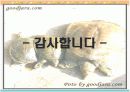 자라에 대하여(자라 양식) 29페이지