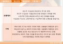 한미 포도주 협상 10페이지