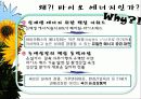 바이오 에너지 7페이지