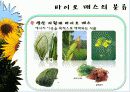 바이오 에너지 11페이지