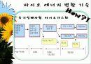 바이오 에너지 14페이지