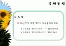 바이오 에너지 19페이지