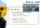바이오 에너지 22페이지
