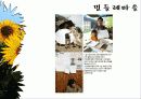 바이오 에너지 31페이지