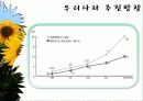 바이오 에너지 33페이지