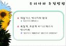 바이오 에너지 37페이지