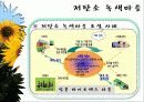 바이오 에너지 39페이지