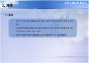 사우스웨스트 항공사의 성공사례 3페이지