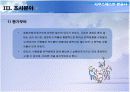 사우스웨스트 항공사의 성공사례 7페이지