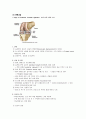 Rupture, Posterior Cruciate Ligament, knee, Cruciate Ligament Reconstruction, 정형외과 case study 4페이지